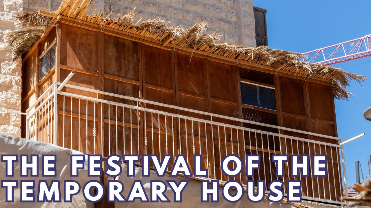 THE FESTIVAL OF THE TEMPORARY HOUSE