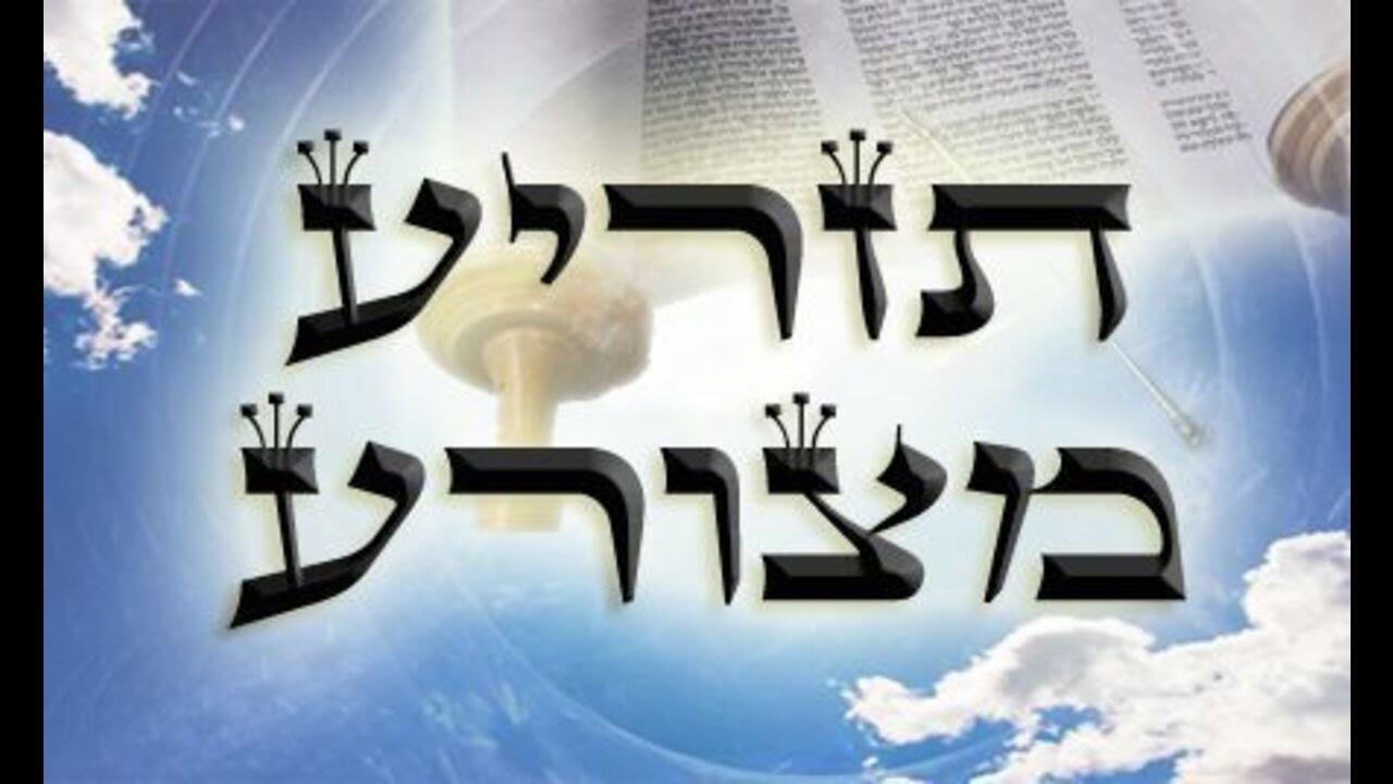 TRYING TO DEFINE “TZARA’AT” Rabbi Pini Dunner