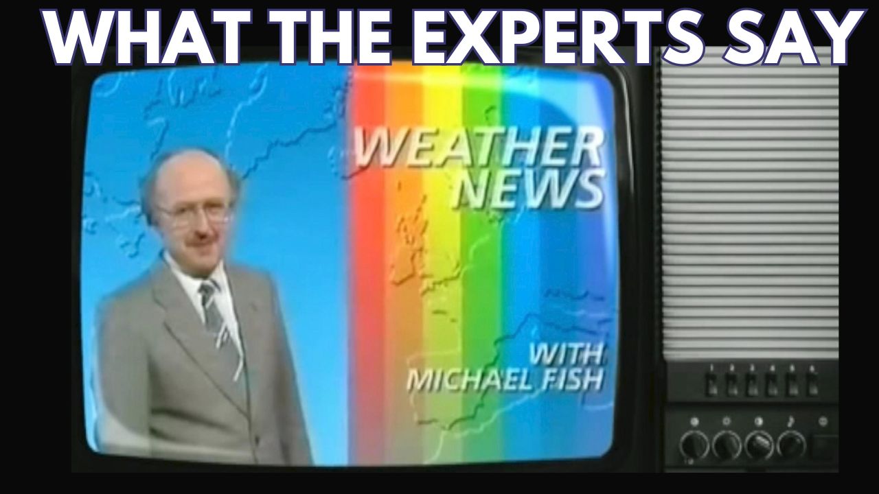 WHAT THE EXPERTS SAY - Rabbi Pini Dunner
